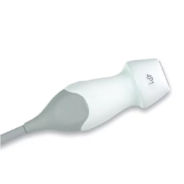 Acuson 4P1 Секторний Фазований датчик УЗД