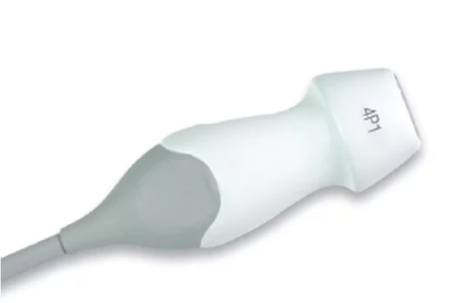 Acuson 4P1 Секторний Фазований датчик УЗД