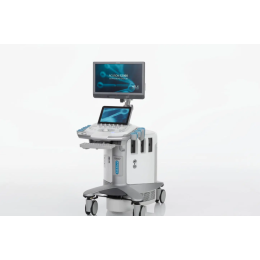 Siemens Acuson S2000