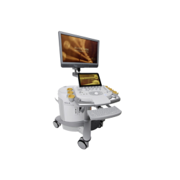 Siemens Acuson S3000 HELX Evolution