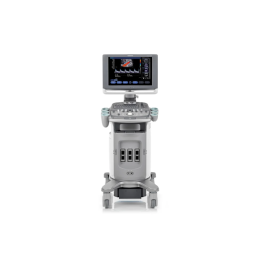 Siemens Acuson Х300