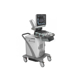 Siemens Acuson Х600