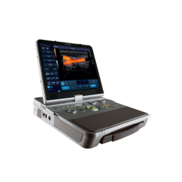 Toshiba Viamo
